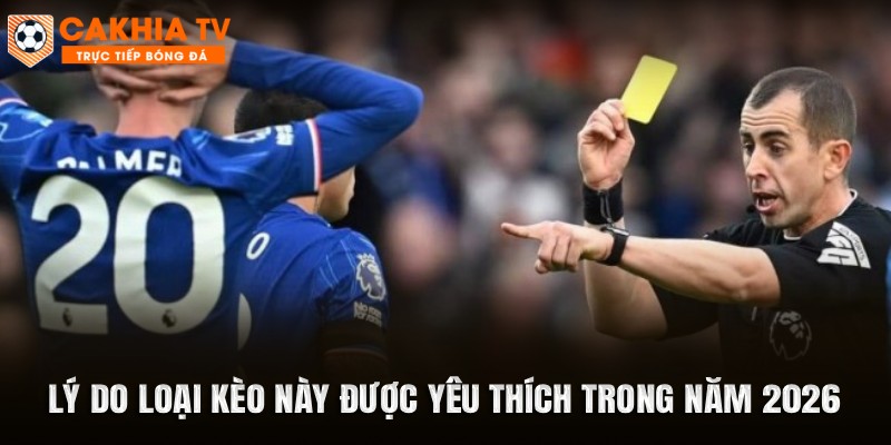 Lý do loại kèo này được yêu thích trong năm 2026